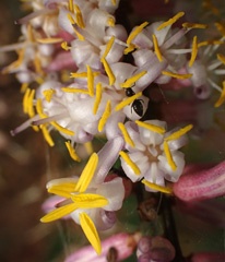 PA270547a.jpg